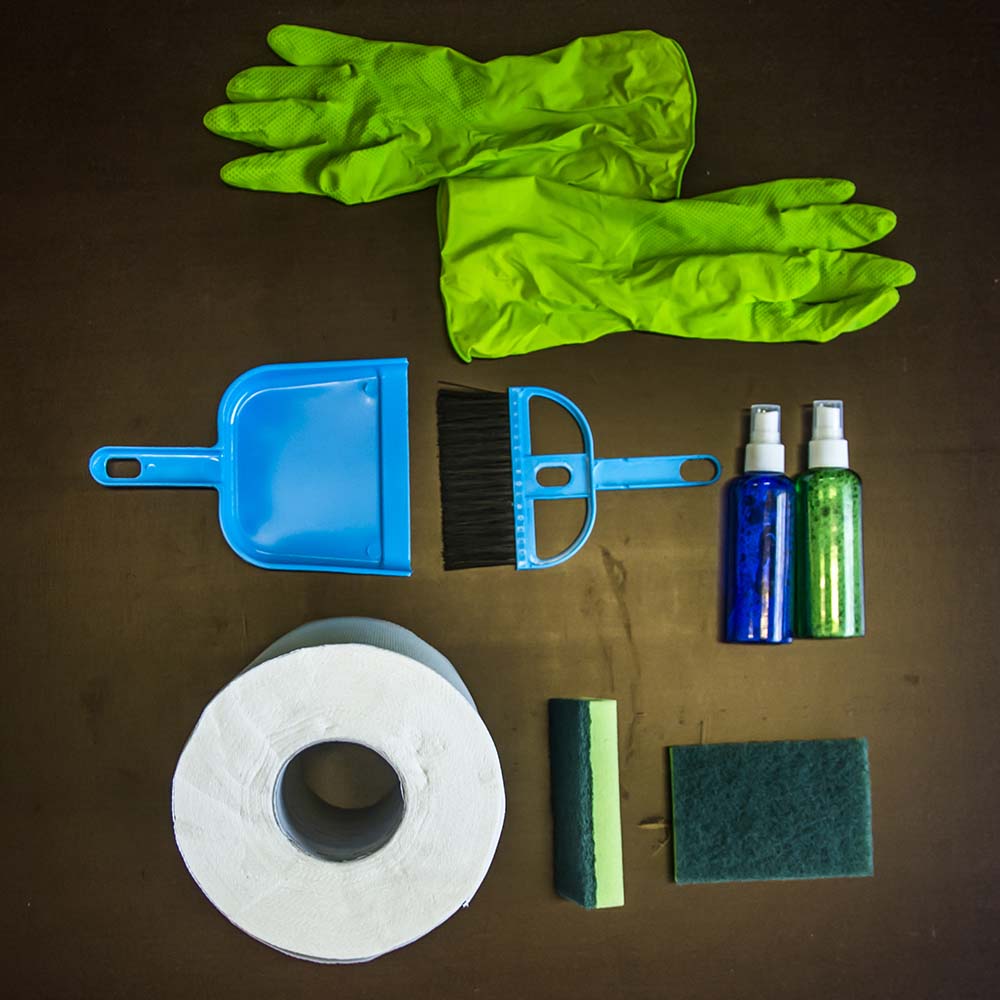 Cleaning kit
